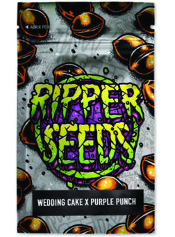 WEDDING CAKE X PURPLE PUNCH