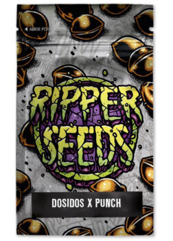 DO-SI-DOS X PURPLE PUNCH