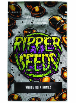 WHITE OG x RUNTZ